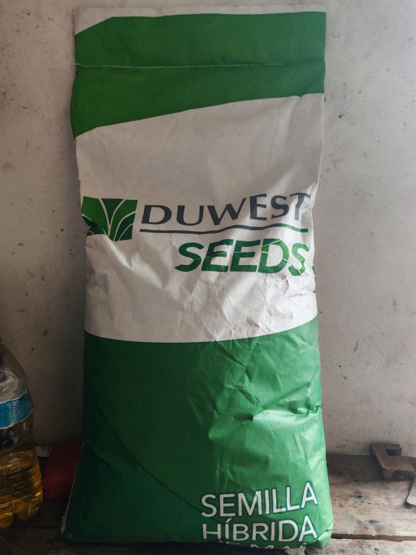 SEM MAIZ HYB BLANCO DW